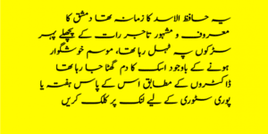Short Urdu Stories