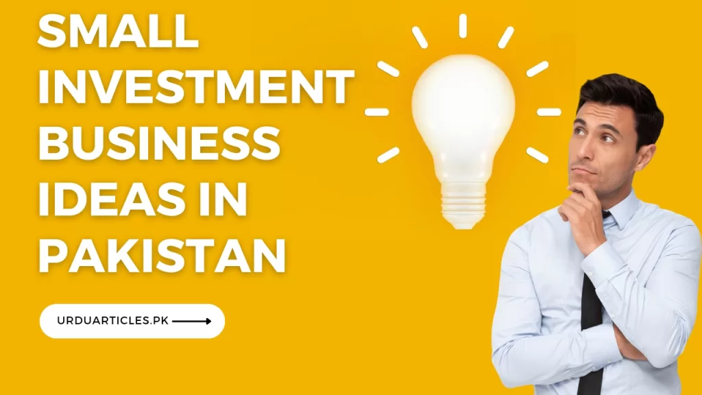 Small Investment Business Ideas in Pakistan