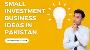 Small Investment Business Ideas in Pakistan